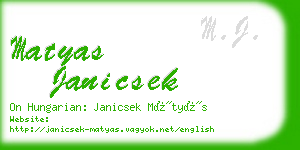 matyas janicsek business card